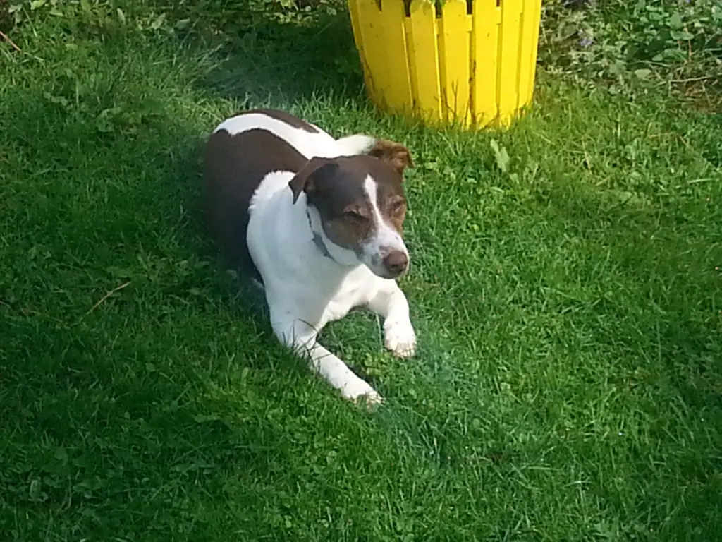 Condolence image of Sabine