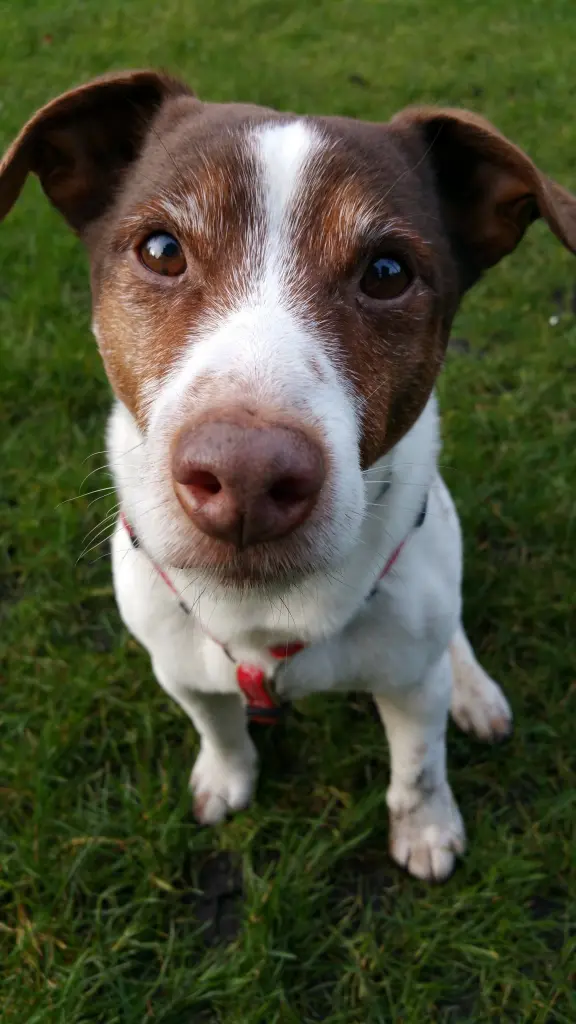 Condolence image of Holger