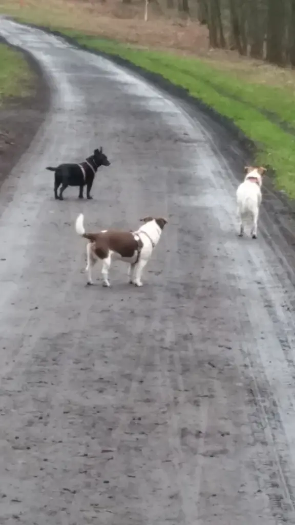 Condolence image of Holger