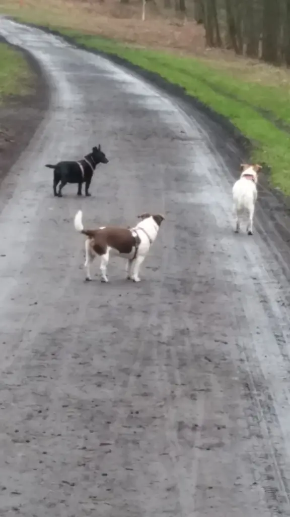 Condolence image of Holger 