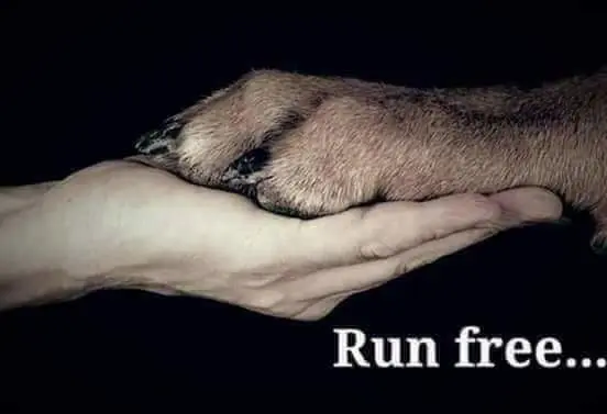 Condolence image of Peter Weidensee