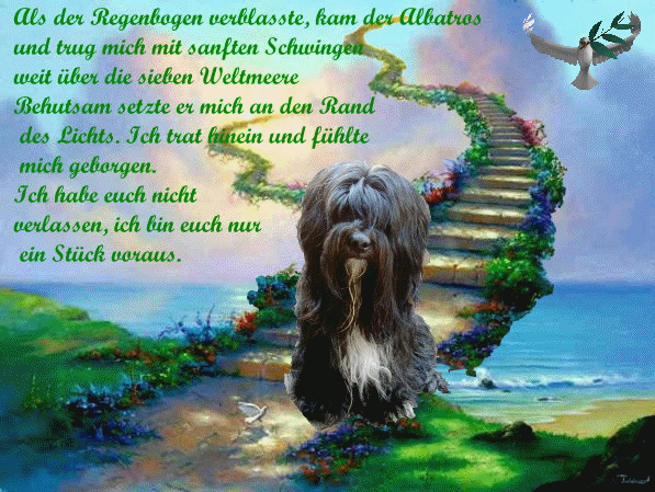 Condolence image of Gisela