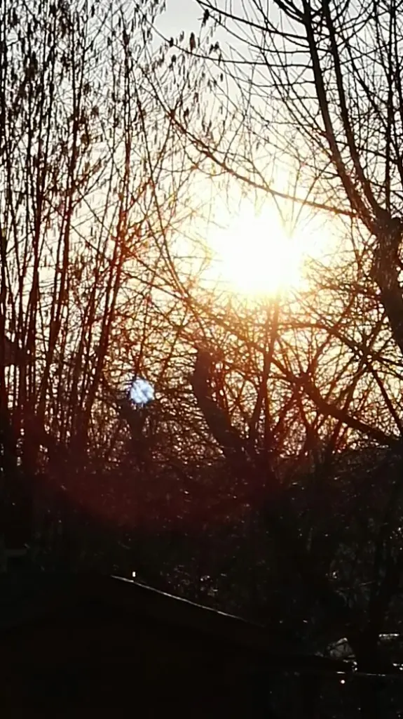 Condolence image of LILLI