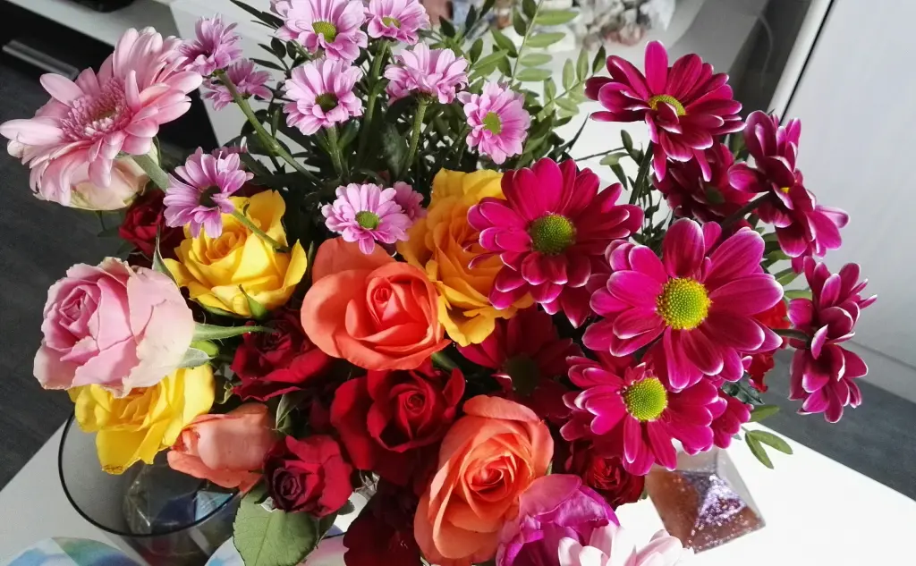 Condolence image of Petra