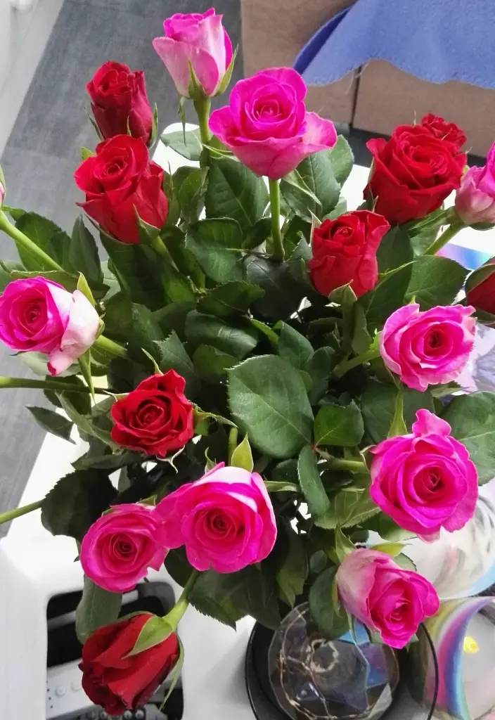 Condolence image of Petra