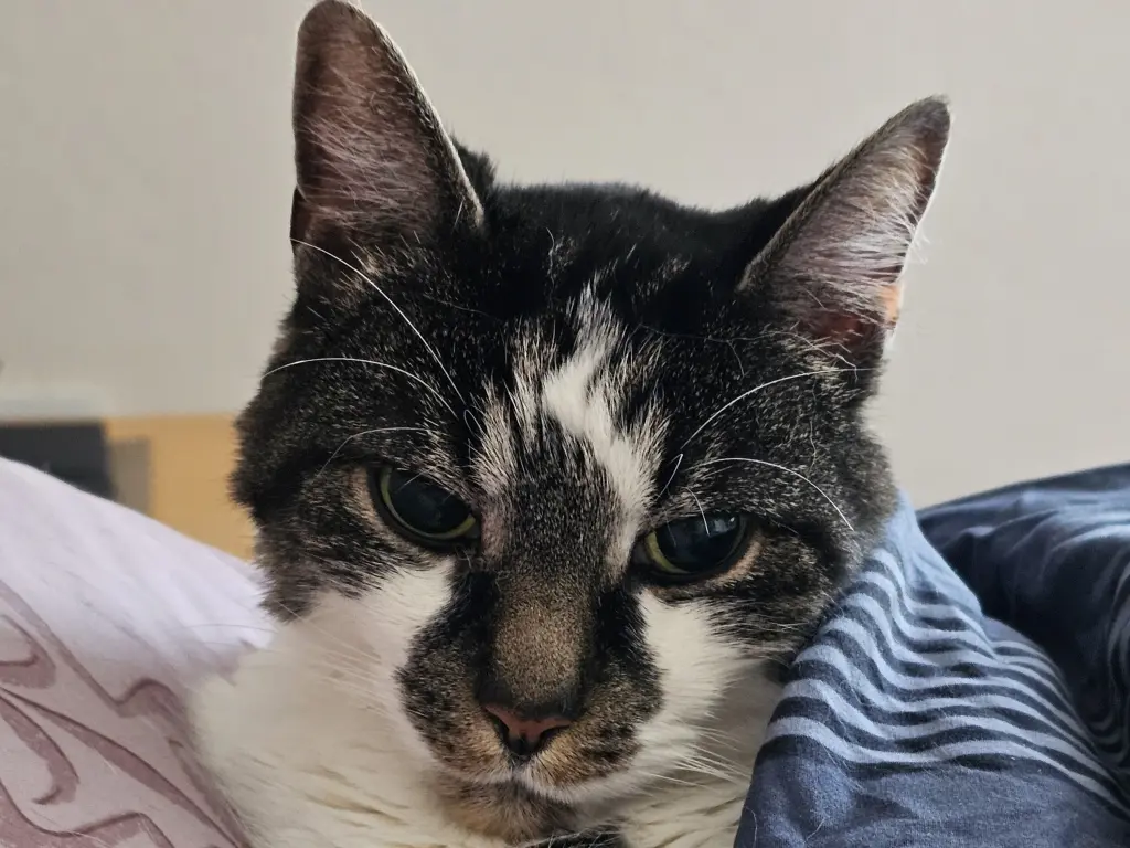 Andachtsbild von Manuela & Andreas