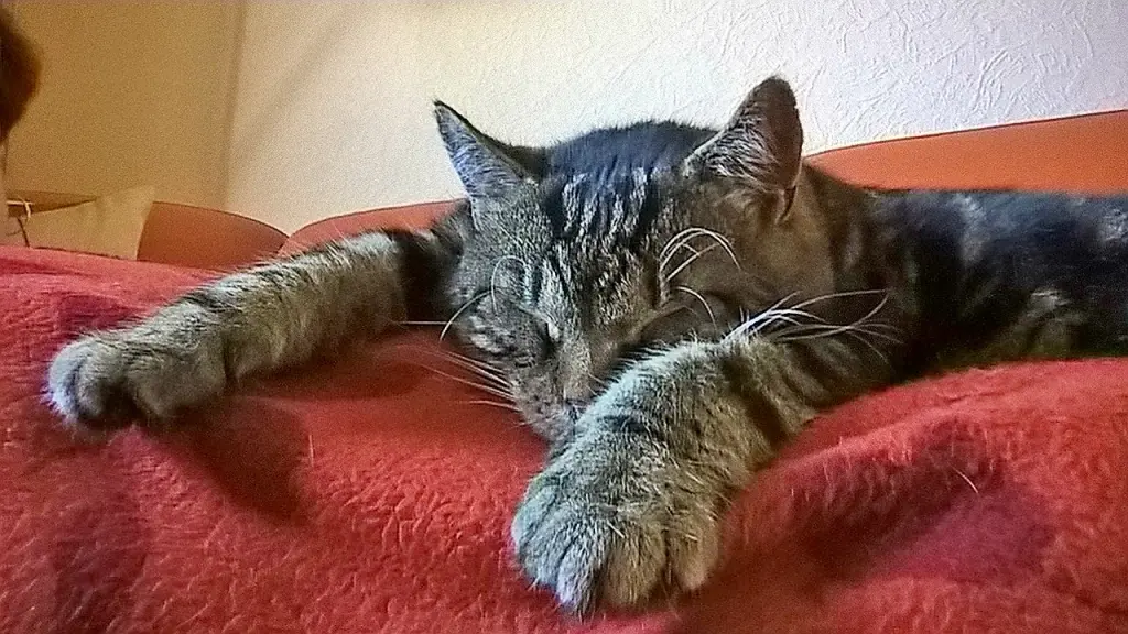 Andachtsbild von Gudrun