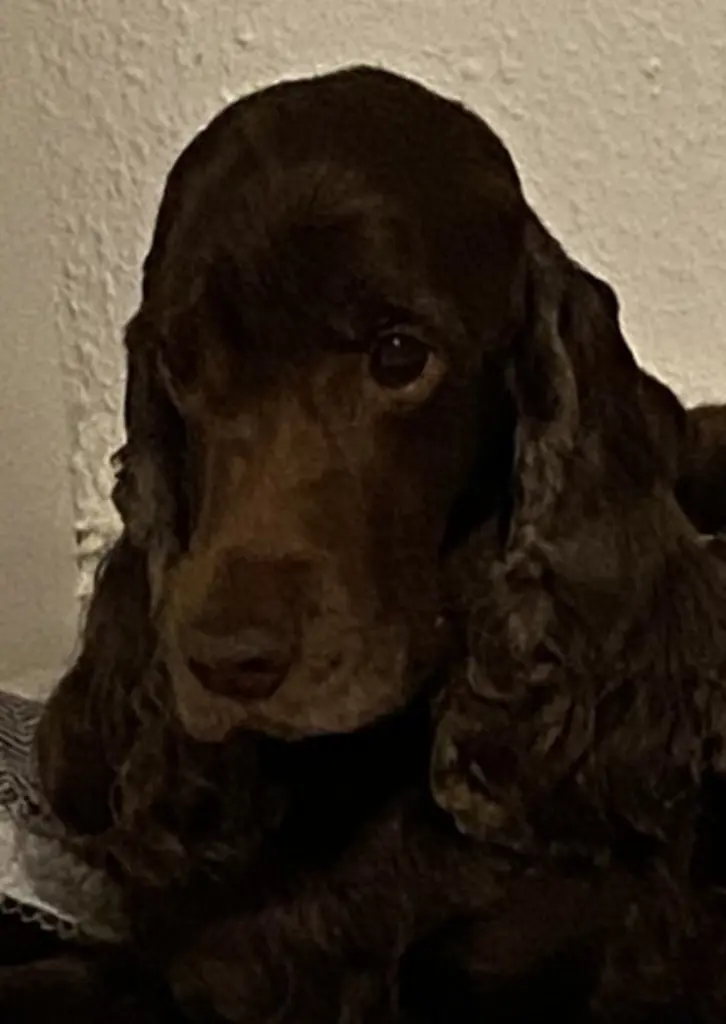 Andachtsbild von Kerstin mit Linus ❤️