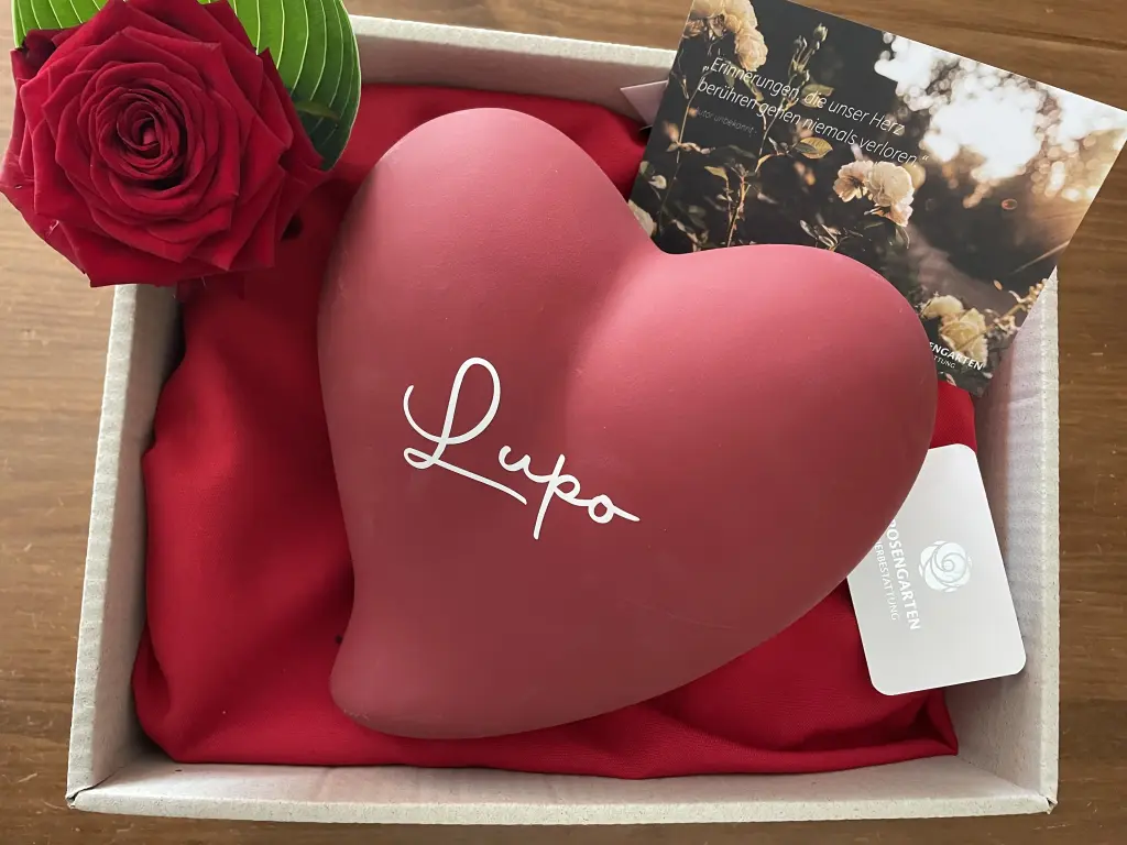 Andachtsbild von Jean-Paul 