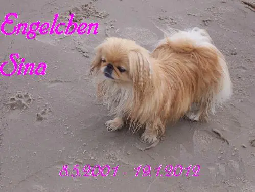 Image from AN DAS ROSENGARTEN-TEAM BADBERGEN