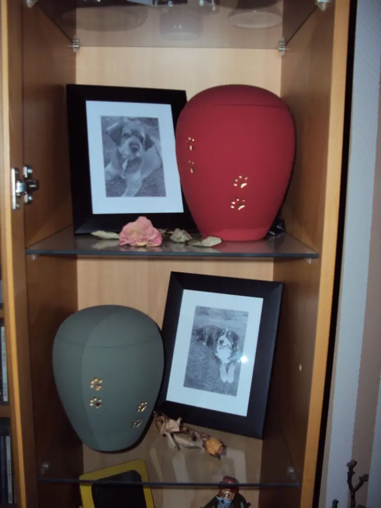 Condolence image of Carmen