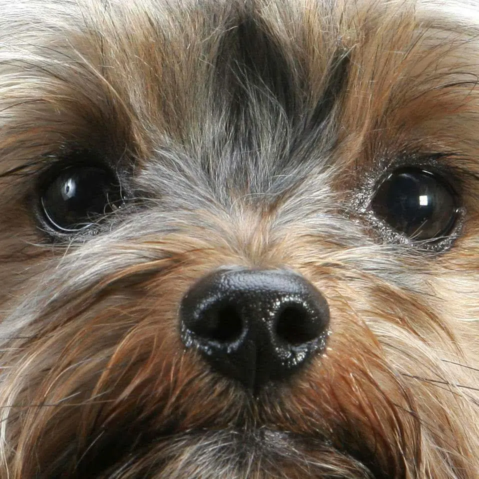 Condolence image of Doris