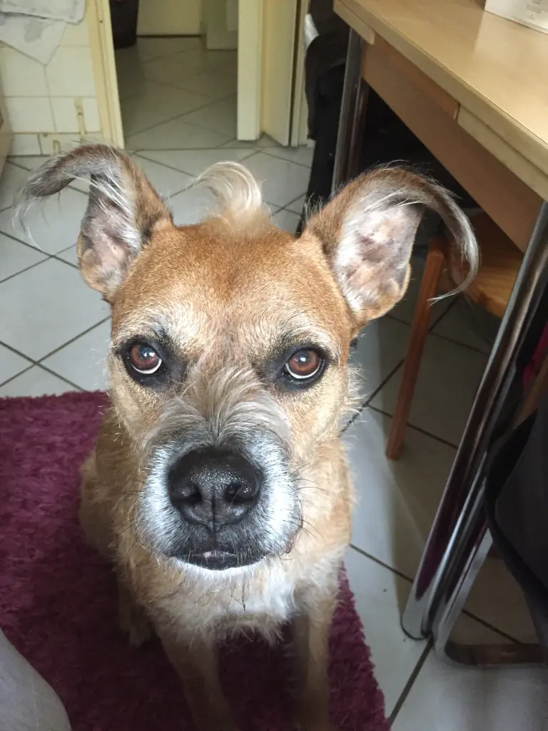 Condolence image of Rebekka 