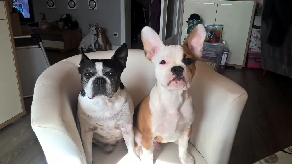 Condolence image of jessica