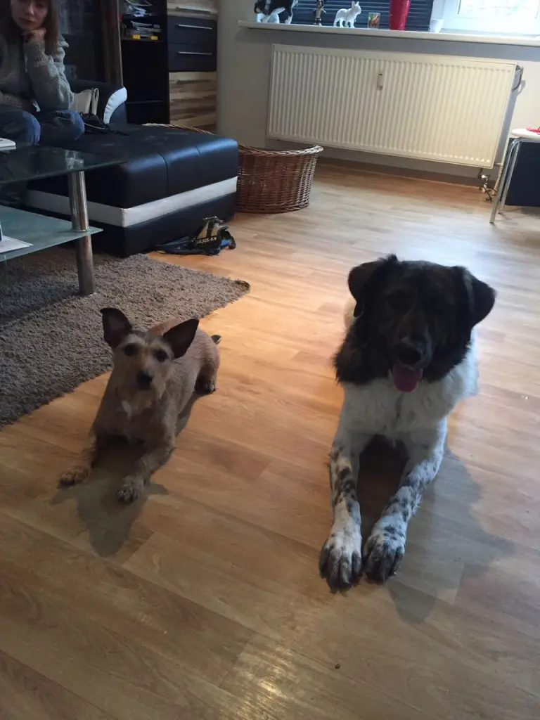 Condolence image of Manuela