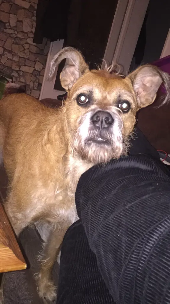 Condolence image of Alexander 