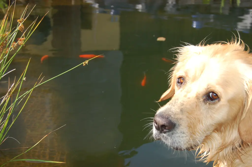 Condolence image of Antje und Henry