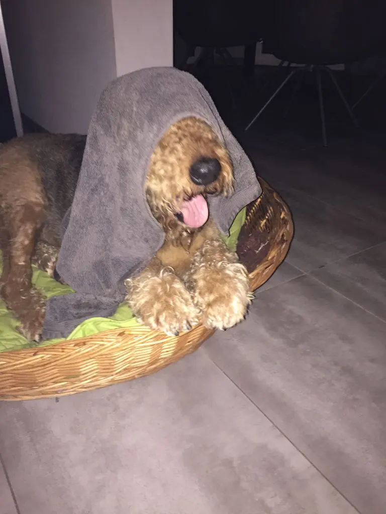 Condolence image of Nadine