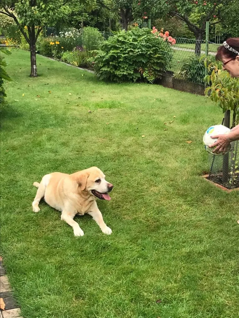 Condolence image of Elzbieta 