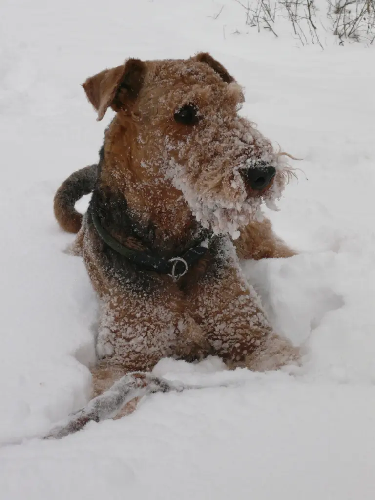 Condolence image of Unbekannt