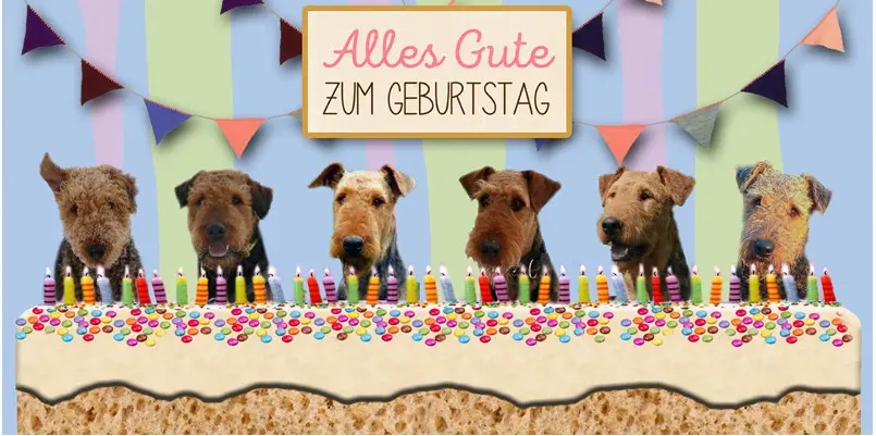 Condolence image of Rosen für Max zum 16. Geburtstag