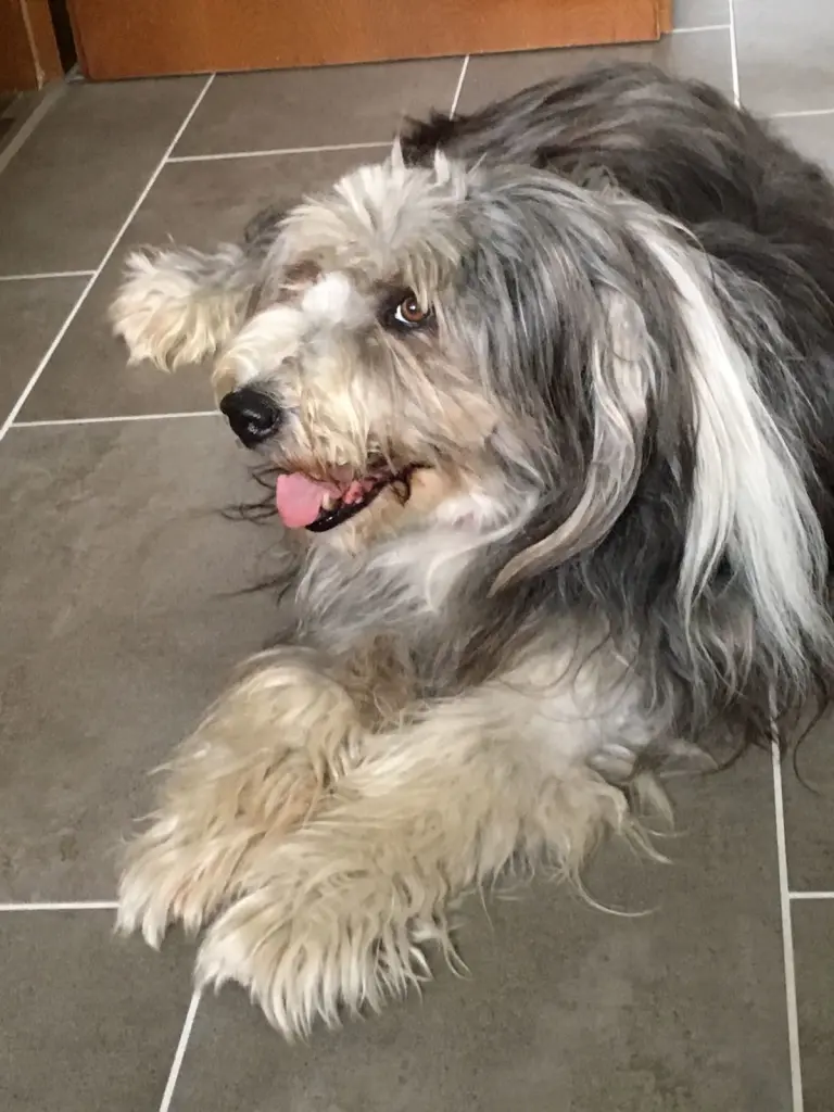 Condolence image of Andreas