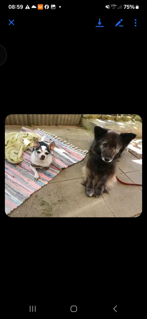 Andachtsbild von Martina