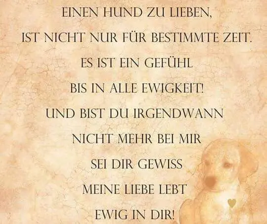Image from Nico