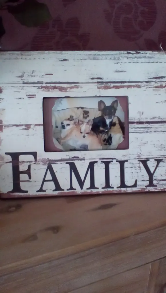 Image from Lion, Angie, Zoe