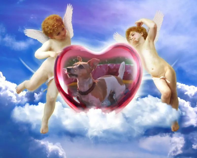 Condolence image of Bianca