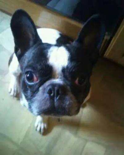 Image from Max