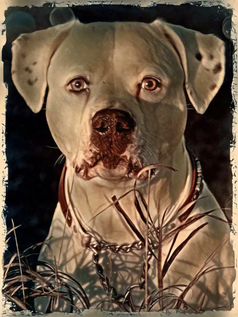 Condolence image of Kristin