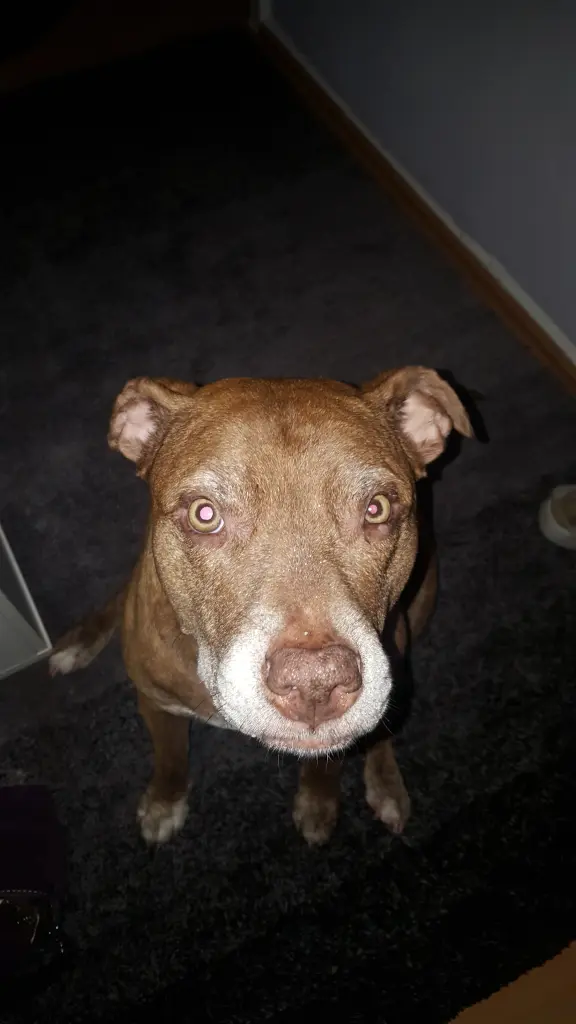 Condolence image of Manu und Pascal mit Louisa im Herzen