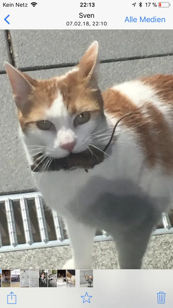 Image from Klaus-Dieter