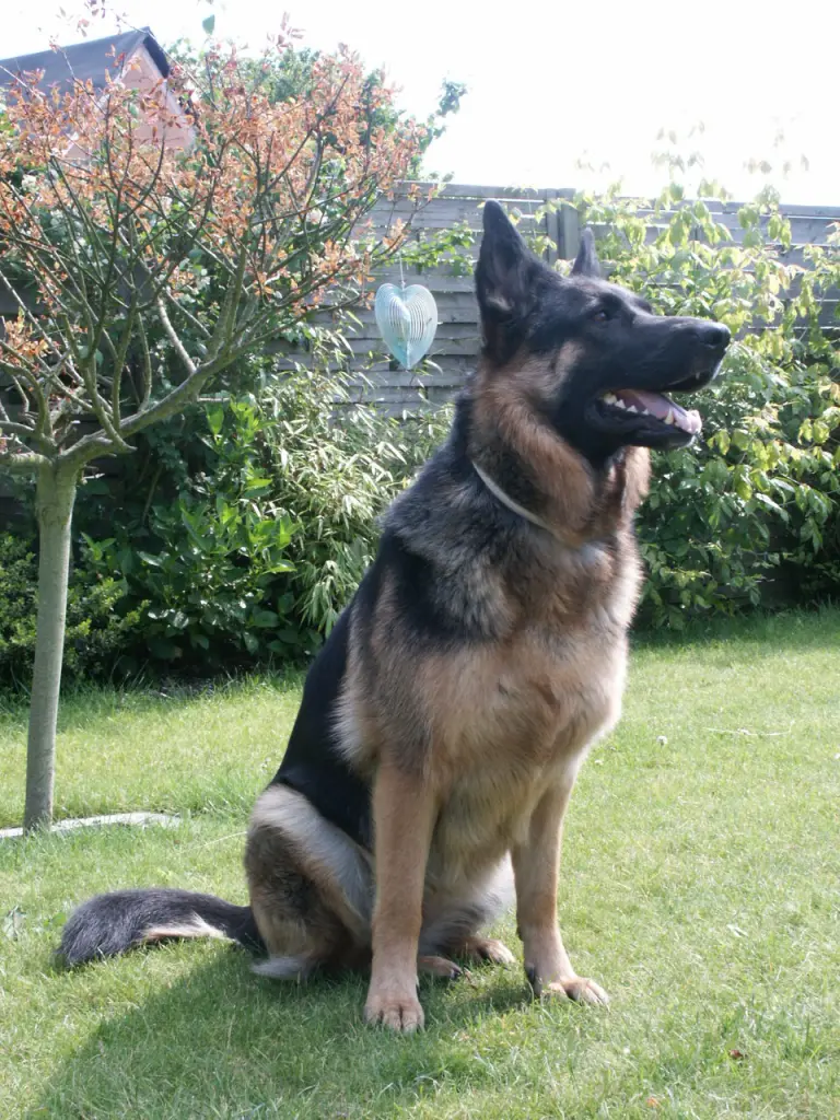 Condolence image of Peter