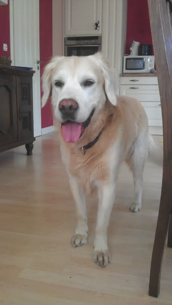 Condolence image of Nadine