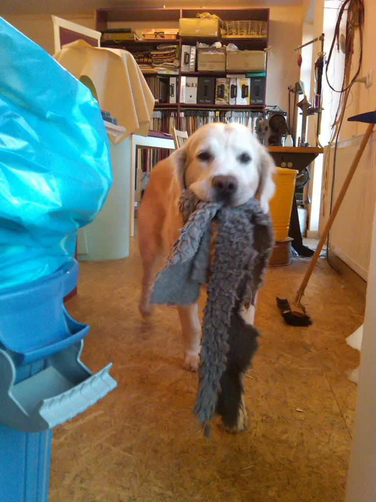 Condolence image of Unbekannt