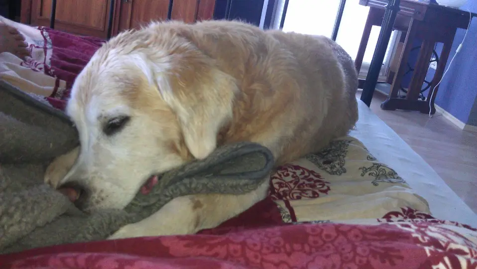 Condolence image of Unbekannt