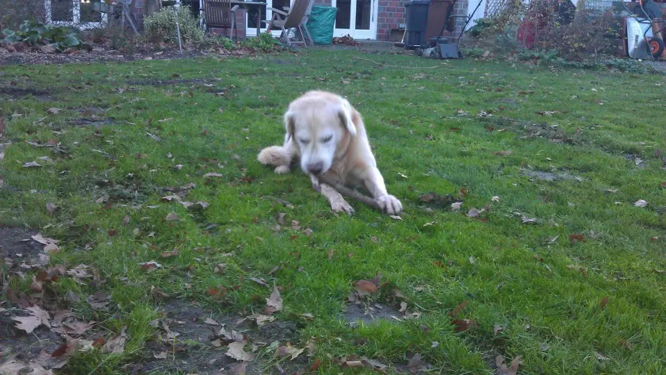 Condolence image of Unbekannt