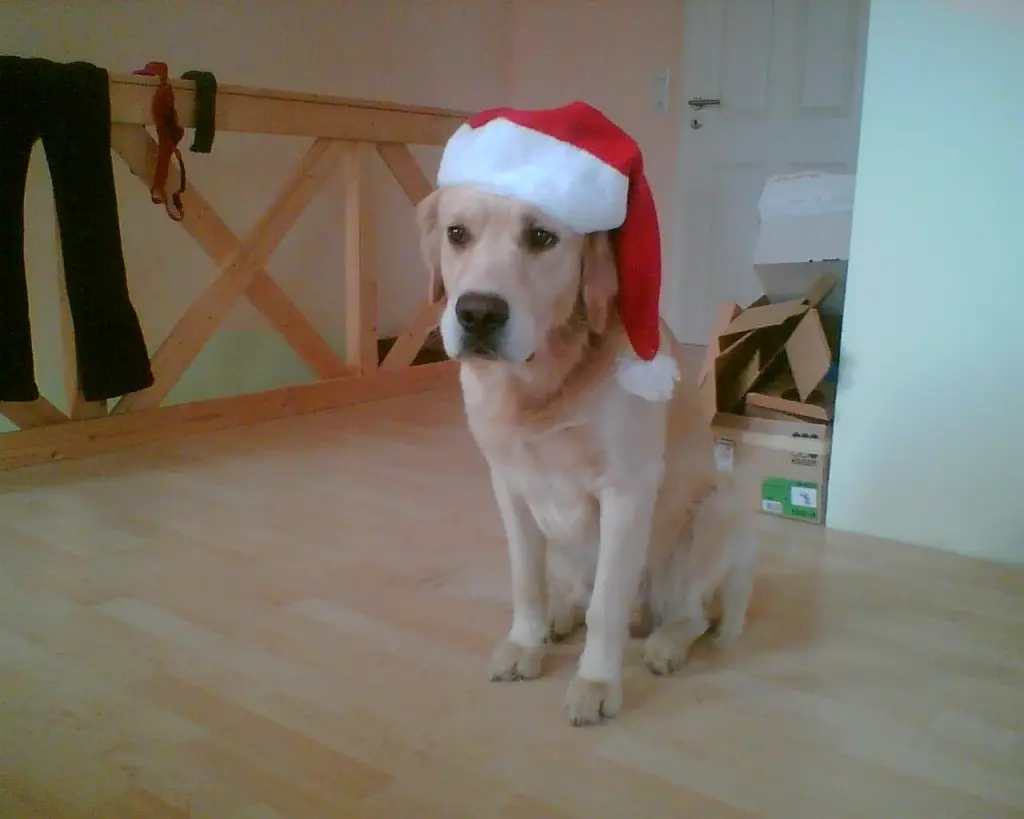 Condolence image of Unbekannt