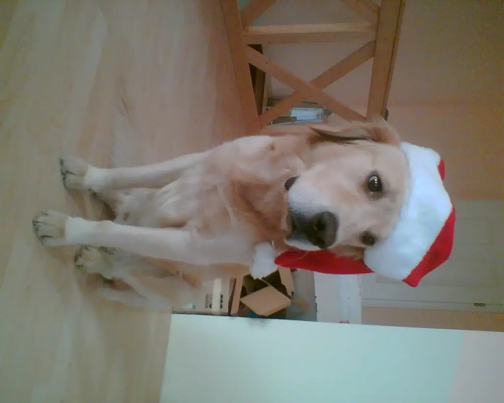 Condolence image of Unbekannt