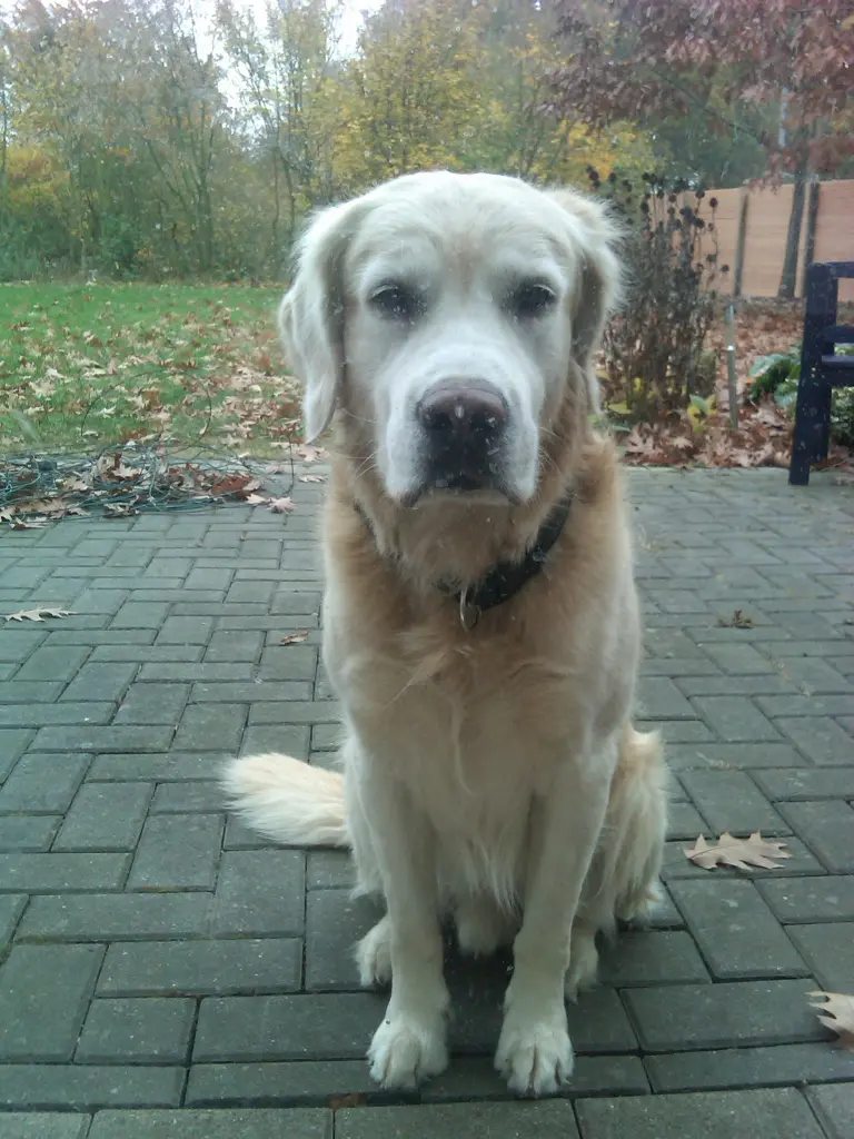 Condolence image of Unbekannt