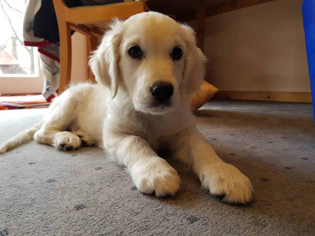 Condolence image of Unbekannt