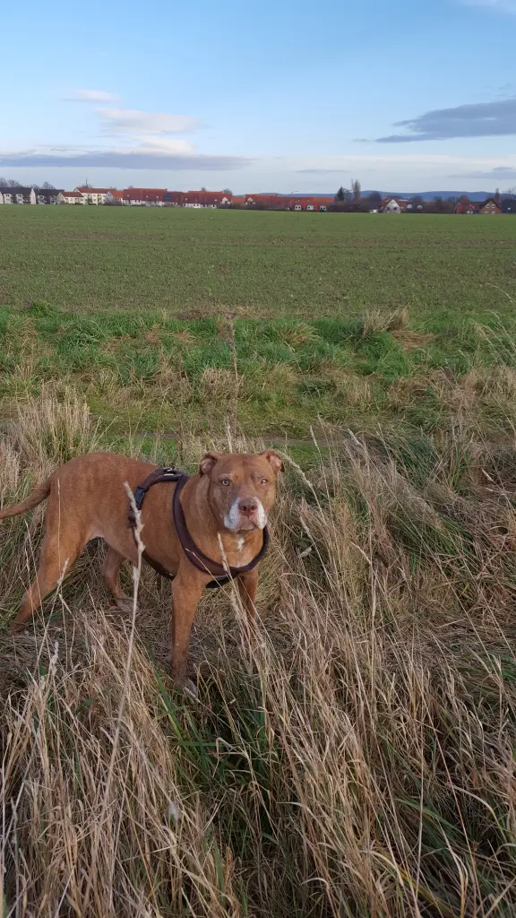 Condolence image of Manu und Pascal mit Louisa im Herzen.gestorben 7.2.18