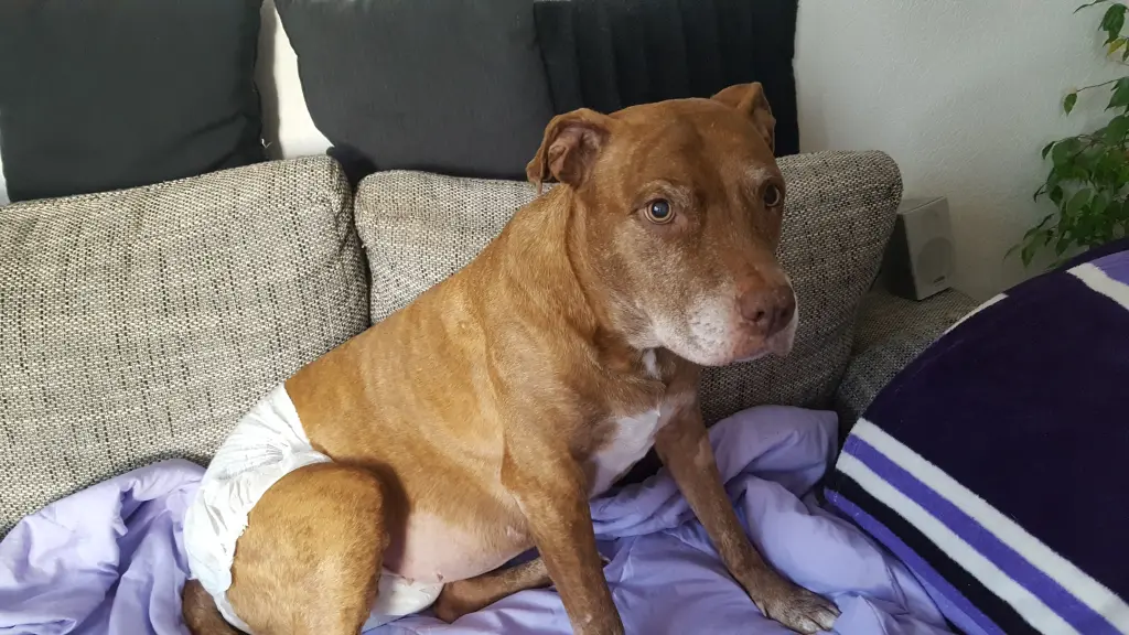 Condolence image of Manu mit Louisa im Herzen