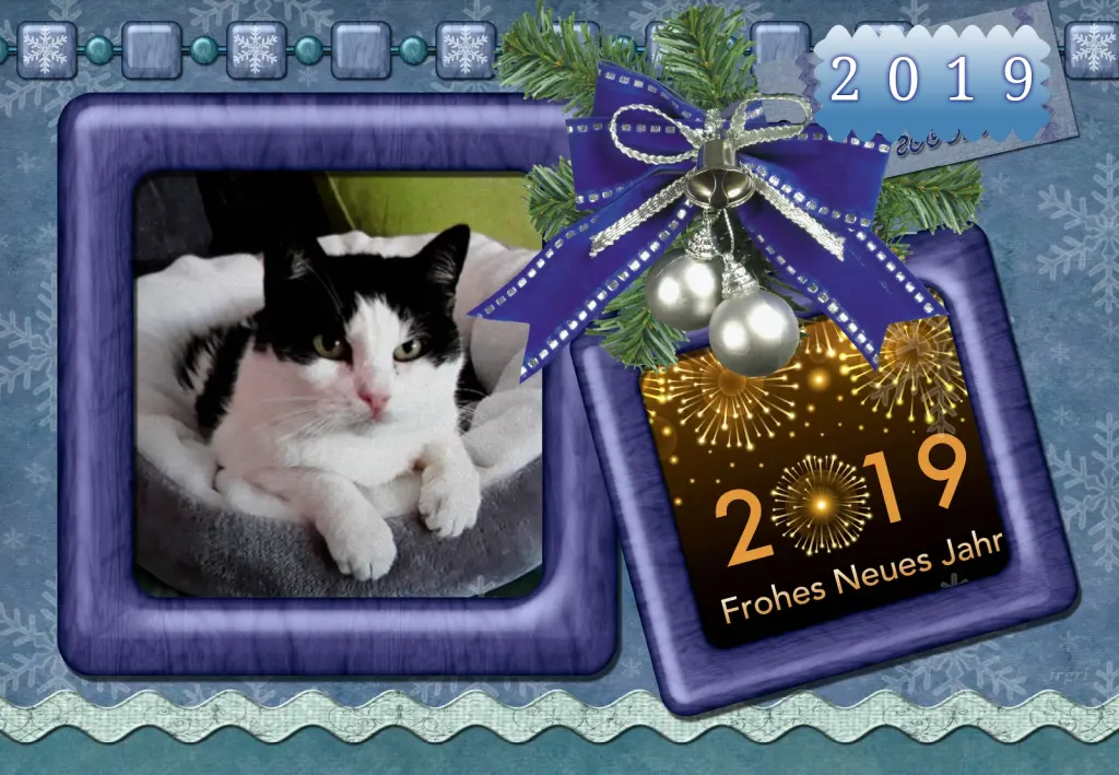 Condolence image of Klaudia mit Misiu❤❤❤Ganz Tief im Herzen❤