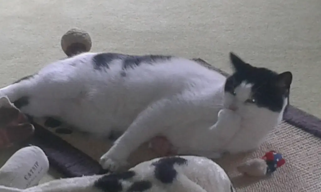 Condolence image of Deine Eike und deine Edeltraud 