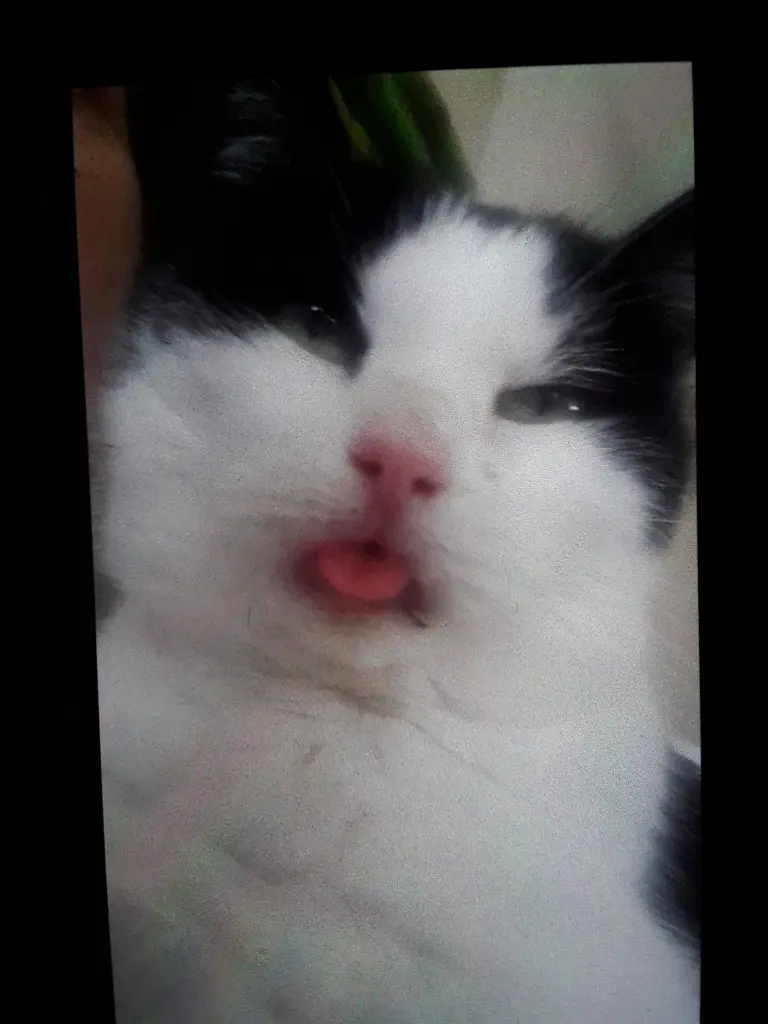 Condolence image of Deine Mutti Eike und Oma Edeltraud 