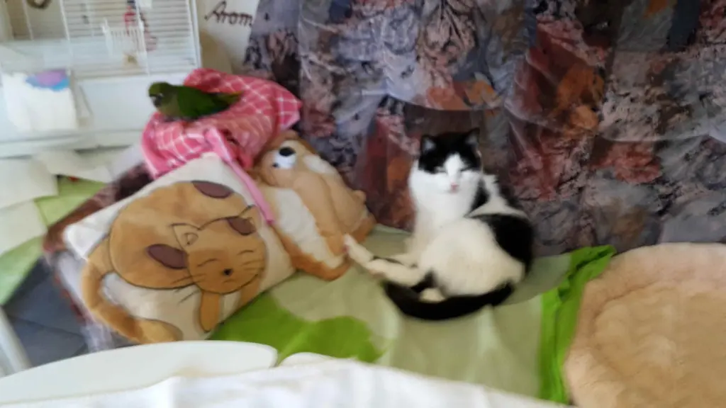 Condolence image of Deine Mutti Eike und Oma Edeltraud 