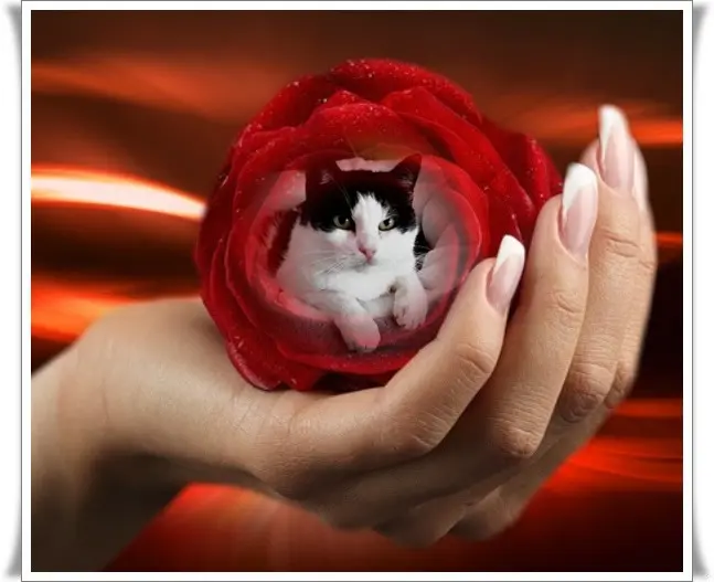 Condolence image of ❤️❤️❤️